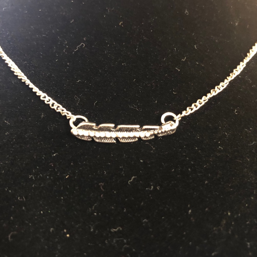 NWT Vanity Silver Feather Necklace